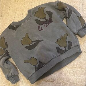 Zara 9/12 Sweatshirt